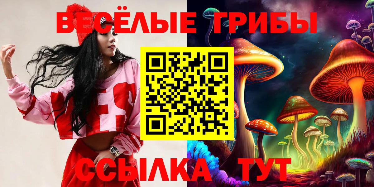закладки  Псилоцибиновые грибы мицелий  Вход с VPN  Галлюциногенные грибы мухоморы  Оренбург 
